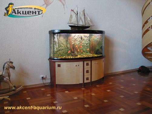Акцент-аквариум, аквариум 350 литров с гнутым передним стеклом